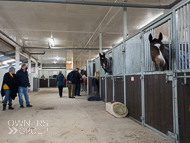 FB161021-105 - Fergal O'Brien Stable Visit